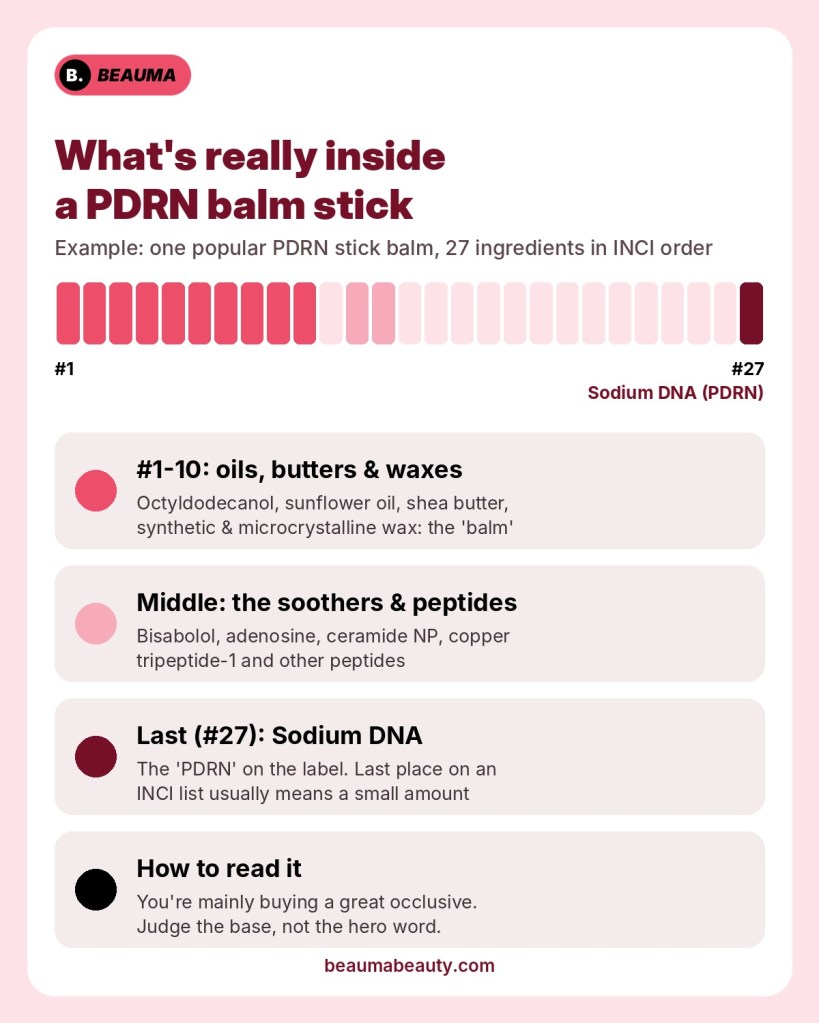 Infographic showing the 27-ingredient list of a PDRN stick balm: oils, butters and waxes make up the first ten ingredients, while sodium DNA (PDRN) is listed last